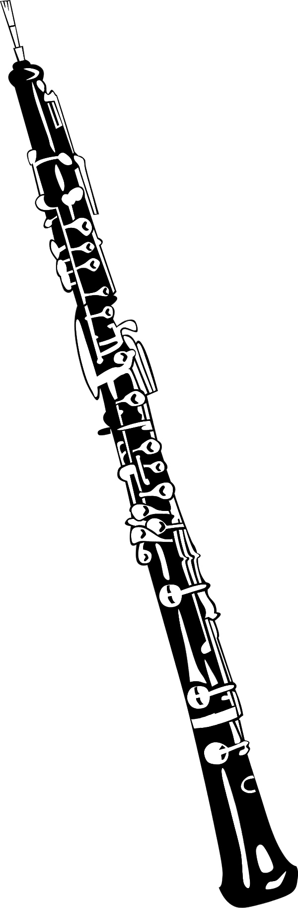 Bassoon - Oboe Clipart (600x1825), Png Download