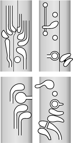 Bassoon Finger (260x500), Png Download