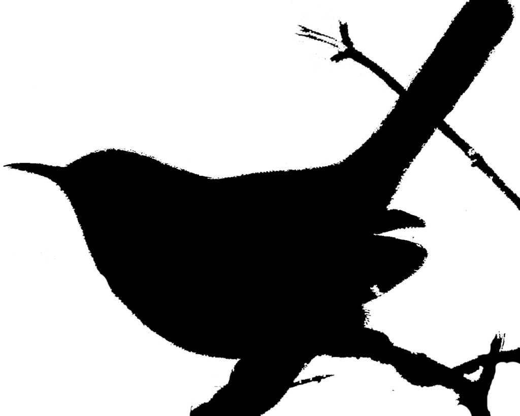 Robin Clipart Wren - Wren (1024x819), Png Download