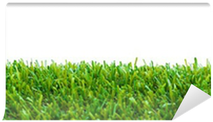 Lawn (400x400), Png Download