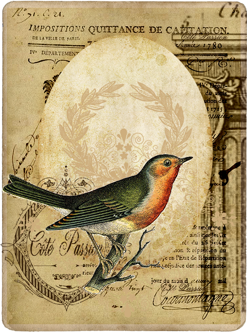 83087601 O - East Urban Home 'vintage Bird 3' Graphic Art Print (560x792), Png Download