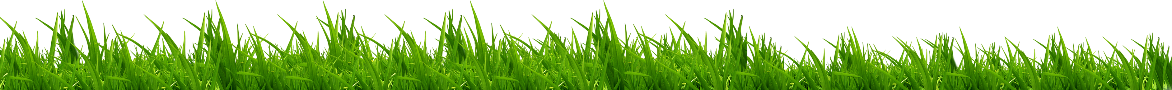 Please Review Our Photo/video Disclaimer Here - Sweet Grass (3780x1536), Png Download