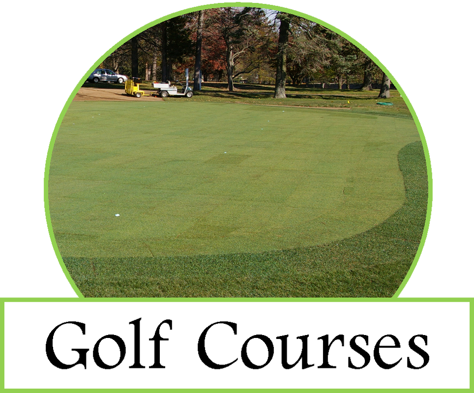 A Golf Putting Green, Grass Tennis Court Or A Soccer - Lawn (964x800), Png Download