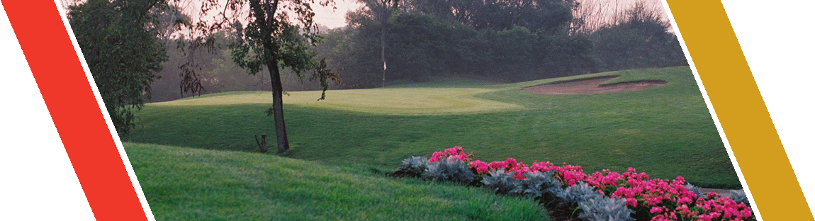 Lawn (1150x312), Png Download