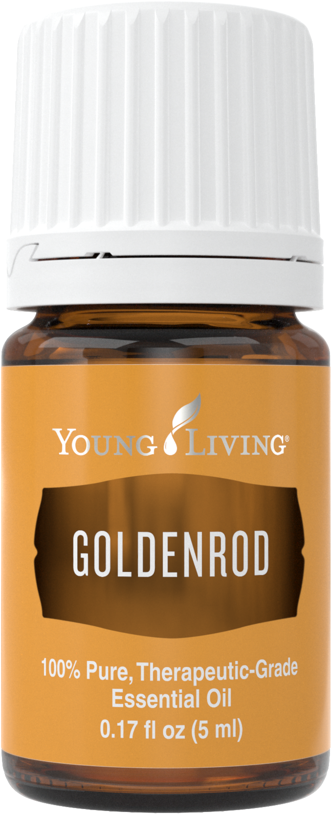 Goldenrod - Young Living Ocotea Essential Oil 5 Ml (690x1676), Png Download