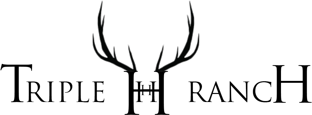 Elegant, Playful, Ranch Logo Design For A Company In - Il Borro (1200x900), Png Download