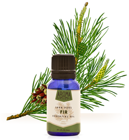 Fir Essential Oil - Aroma Foundry Fir Essential Oil - 15 Ml - 100% Pure (447x480), Png Download