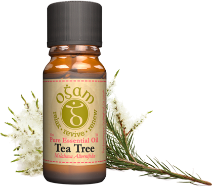 Ogam Tea Tree Pure Essential Oil - Tea Tree Essential Oil 100% Pure Therapeutic Grade (426x377), Png Download