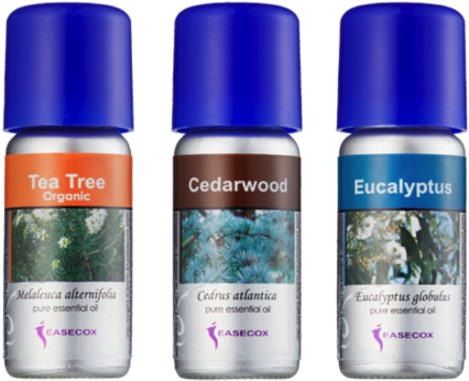 Respiratory System - Easecox Essential Oil 内分泌 (480x462), Png Download