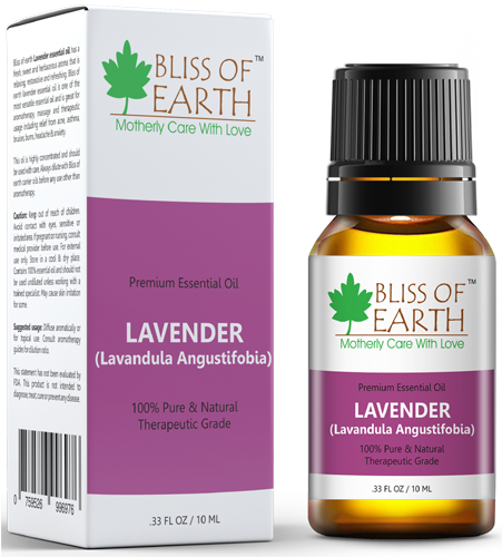Lightbox - Bliss Of Earth Premium Eucalyptus Eucalyptus Globulus (500x500), Png Download
