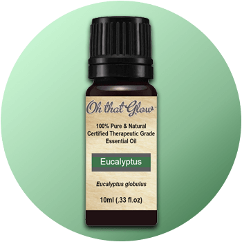 Eucalyptus Essential Oil - Plant Therapy Spring Blossoms Essential Oil. 100% Pure, (350x350), Png Download