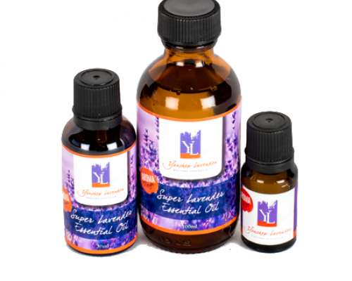 Lavender Essential Oil - Lavender (500x400), Png Download