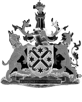 The Royal Australian And New Zealand College Of Radiologists - Tiara (600x600), Png Download