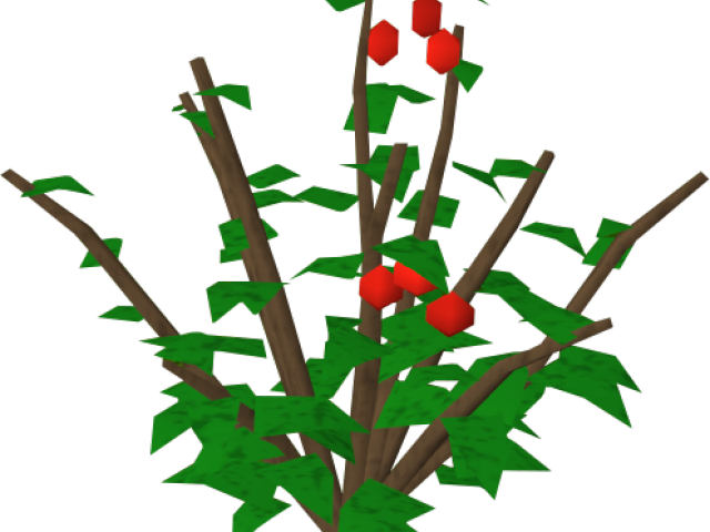 Rose Bush Clipart Holly Berry Bush - Berry (640x480), Png Download