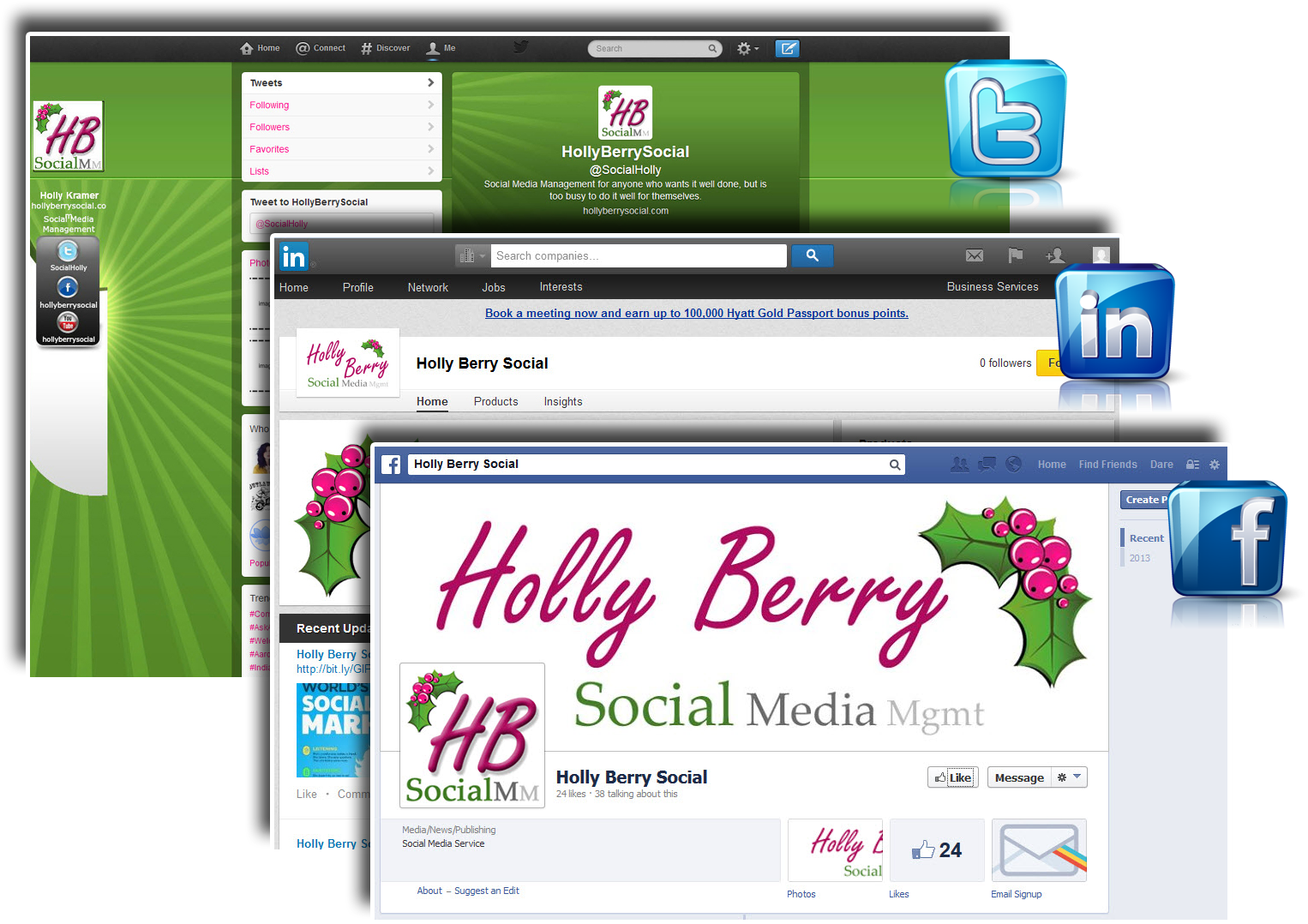 Holly Berry Social - Social Icons (1600x1200), Png Download