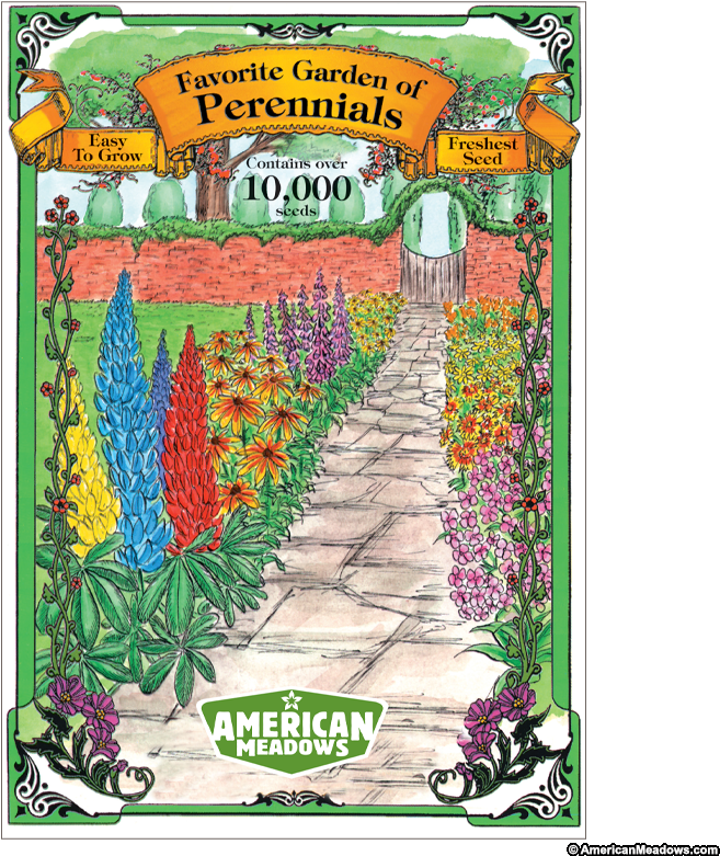 Favorite Garden Of Perennials Jumbo Packet - Jumbo Frame (800x800), Png Download