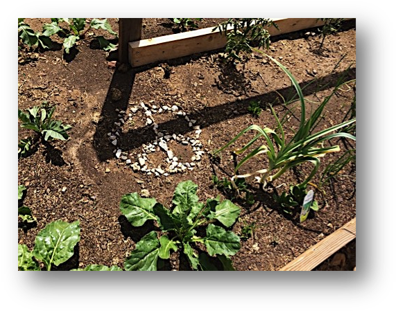 My 5 Tips To Green Your Plate - Plate (584x462), Png Download