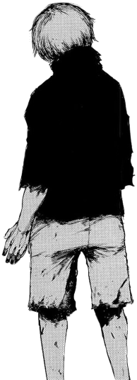 Kaneki Ken - Sketch (321x550), Png Download