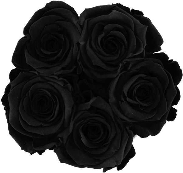 Prev - Roses In A Box - Bella's Flower Shop (700x654), Png Download