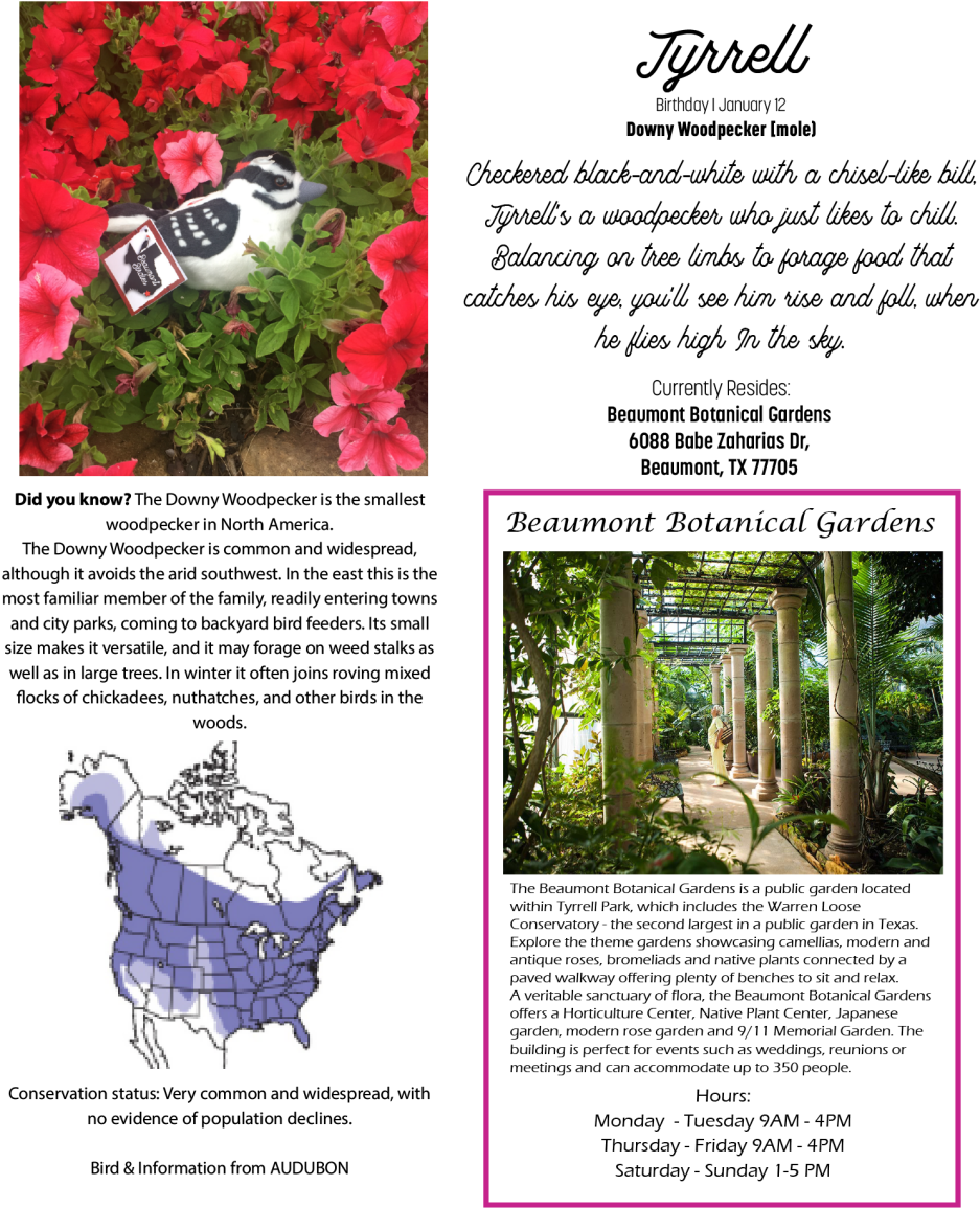 Ruffed Grouse Range (1002x1200), Png Download