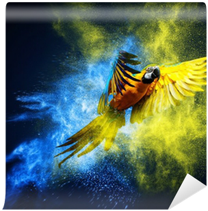 Flying Ara Parrot Over Colourful Powder Explosion Wall - Epson Sure Color S40600 (400x400), Png Download