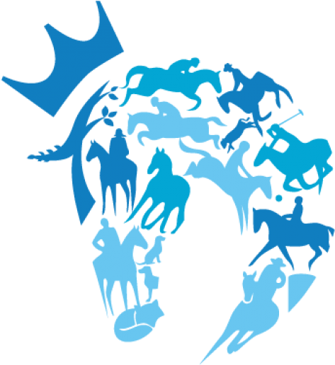 After Nine Months Of Training 302 Thoroughbred Horses - Retired Racehorse Project (519x560), Png Download