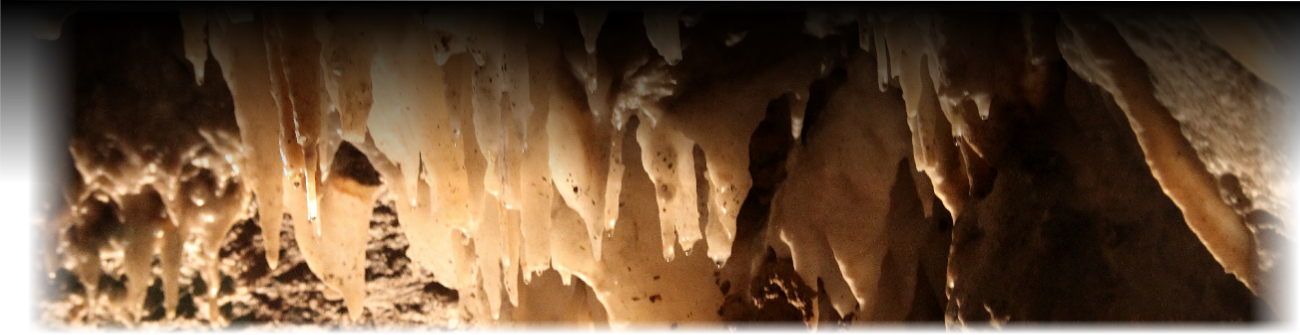 Soda Straw (1300x335), Png Download