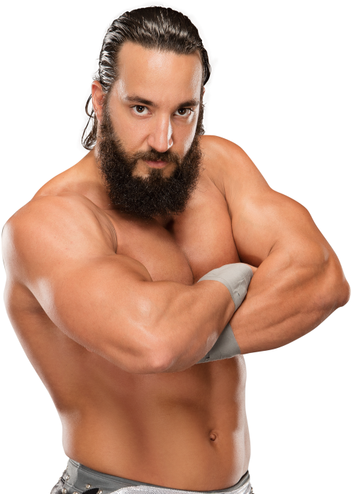 Tony Nese Pro - Tony Nese Wwe 2016 (1000x707), Png Download