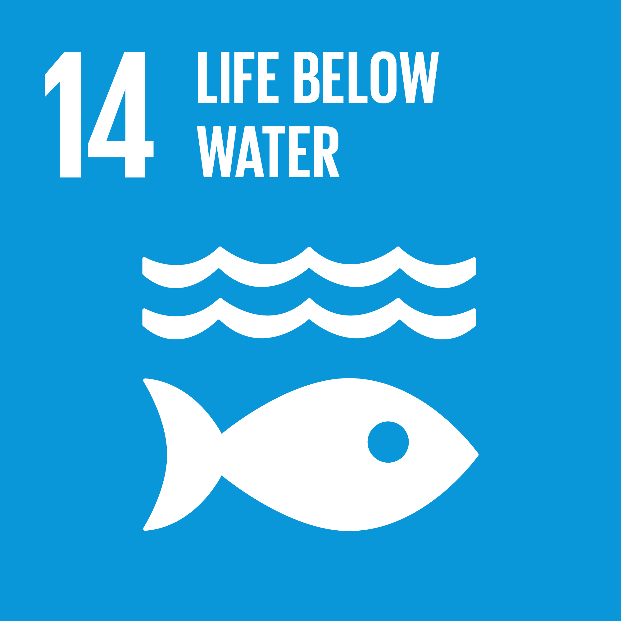 The Un - Life Below Water Sdg (2000x2000), Png Download