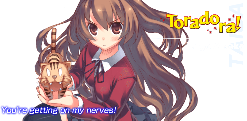 Taiga Aisaka - Toradora Vol 1 (1000x484), Png Download