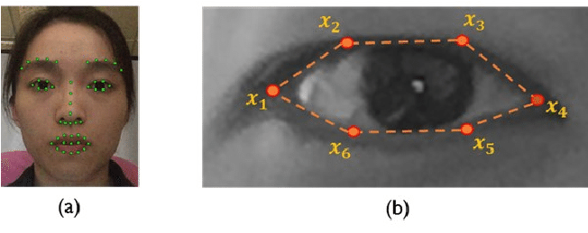 The Landmarks Tracked By The Face Alignment Model - Bead (704x271), Png Download