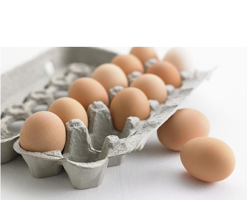 Egg Cartons, Egg Trays - Paper Egg Container (500x500), Png Download