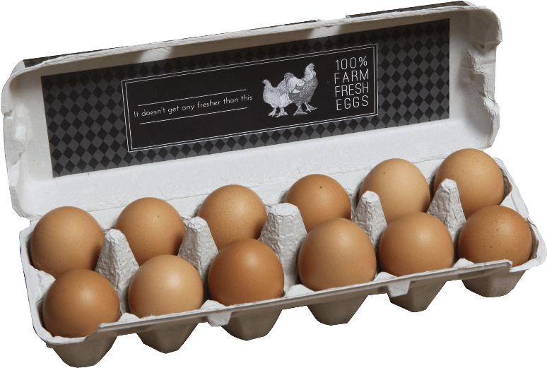 View Detail - Egg (800x600), Png Download