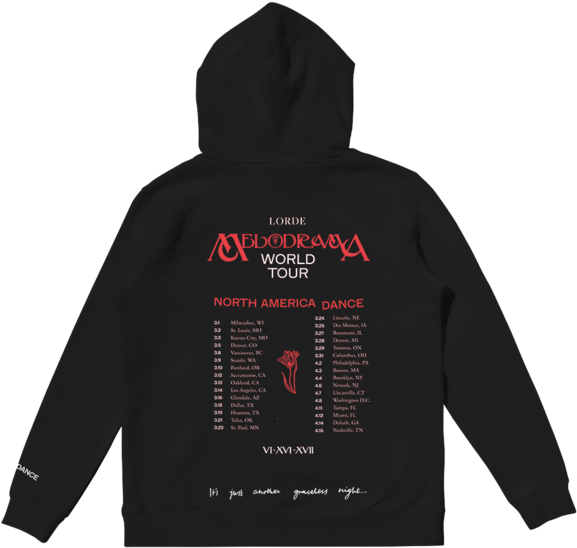 Sudadera Thrasher Llamas (600x600), Png Download