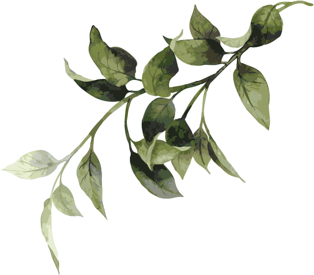 Shrubbery - Sorrow Of War [book] (852x809), Png Download