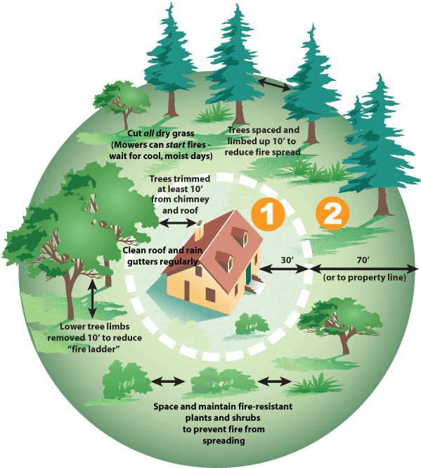 Wildland Fire Defensible Space (612x685), Png Download