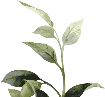 Vision Shrubbery 02 - Sorrow Of War [book] (368x334), Png Download