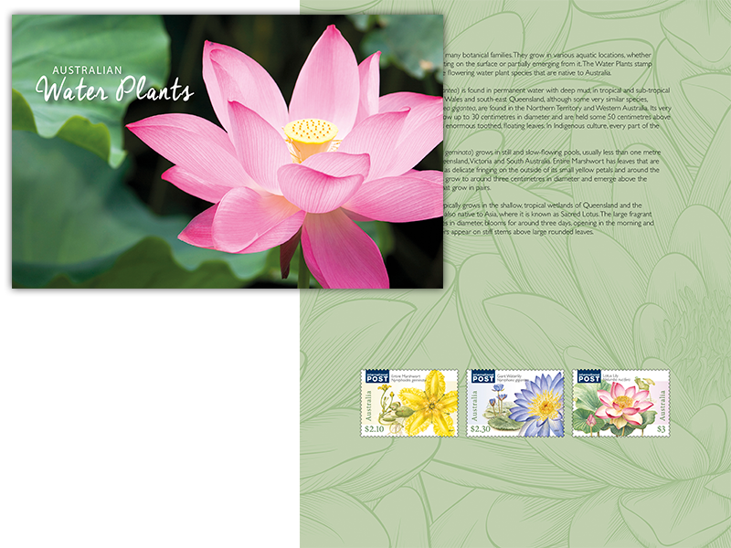 Water Plants Stamp Pack (800x600), Png Download