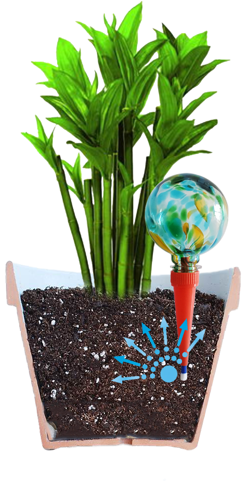 Do You Love Houseplants But Hate The Chore Of Watering - Plantpal Watering Globe Plant Watering System (1000x1000), Png Download