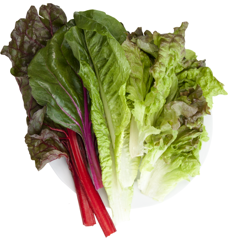 Hydroponic Super Salad Mix (1000x1000), Png Download