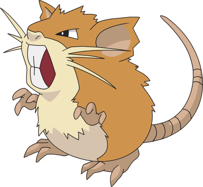 Raticate - Pokemon Raticate (650x600), Png Download