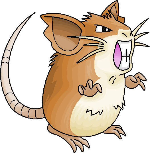 Raticate (557x568), Png Download