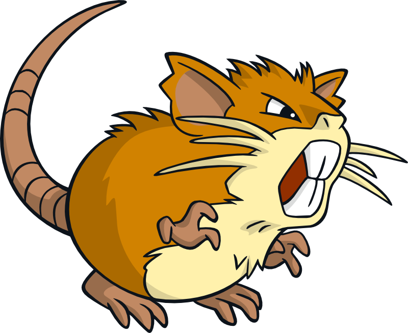 Reward - Http - //www - Pokemonpets - Com/shiny Raticate - Cartoon (800x654), Png Download