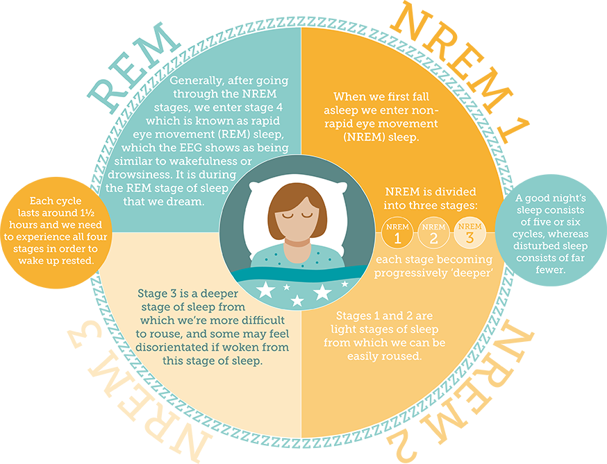 The Sleep Council How Much Sleep Do We Need - Book (874x669), Png Download