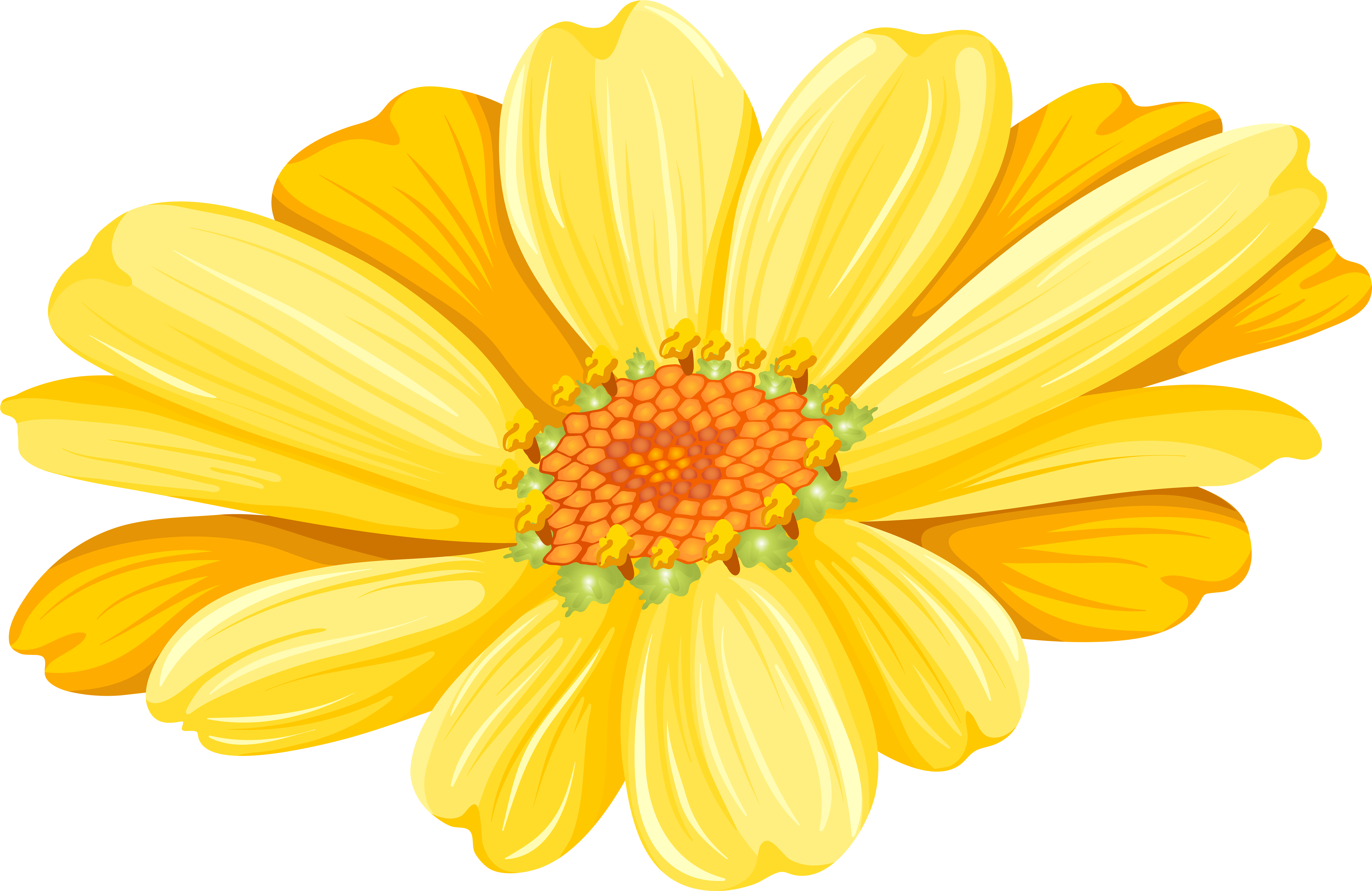 Marguerite Daisy Argyranthemum Frutescens (8000x5199), Png Download