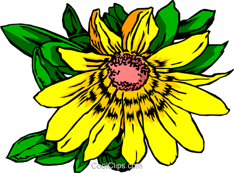 Yellow Daisy Royalty Free Vector Clip Art Illustration - Orchids (480x355), Png Download