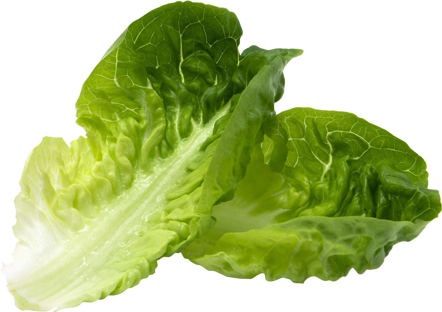 Romaine - Dr Gundry Green Smoothie (1600x1600), Png Download