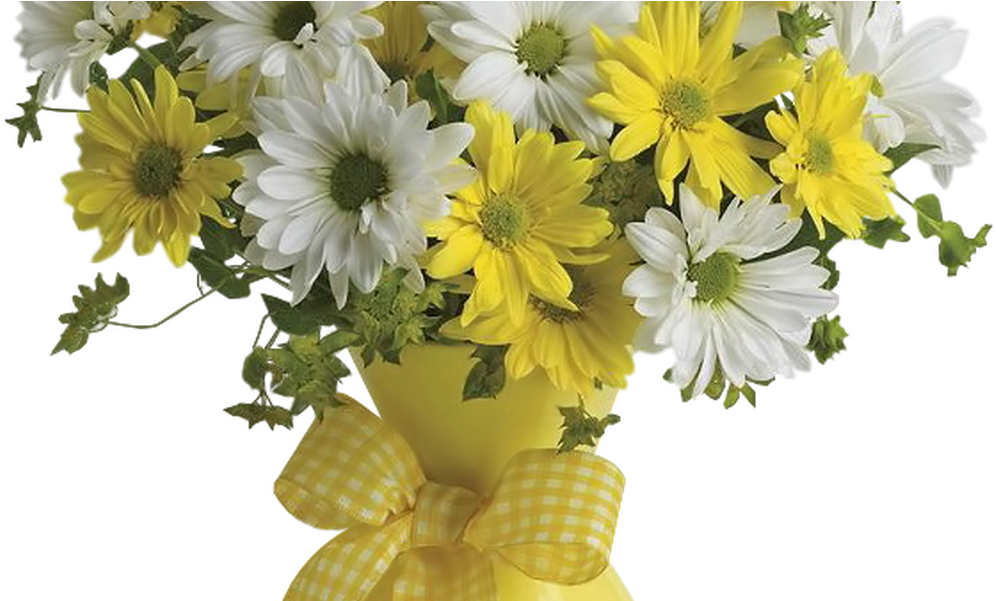 Vase With Yellow And White Daisies Png Clipart Picture - Flowers White N Yellow (1067x600), Png Download