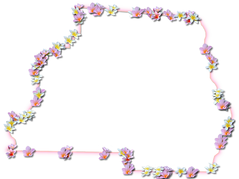 A Map Of Madison With A Coral Color Glow Border And - Floral Design (768x578), Png Download