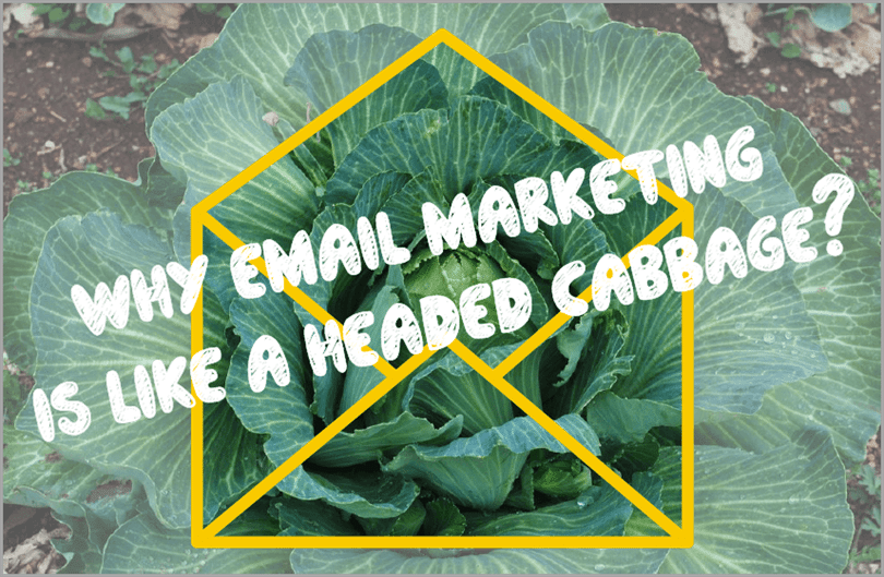 Headed Cabagge For Email Marketing Manager - Email (810x529), Png Download